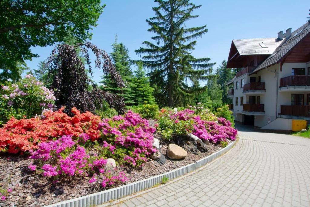 Polana-karpacz *