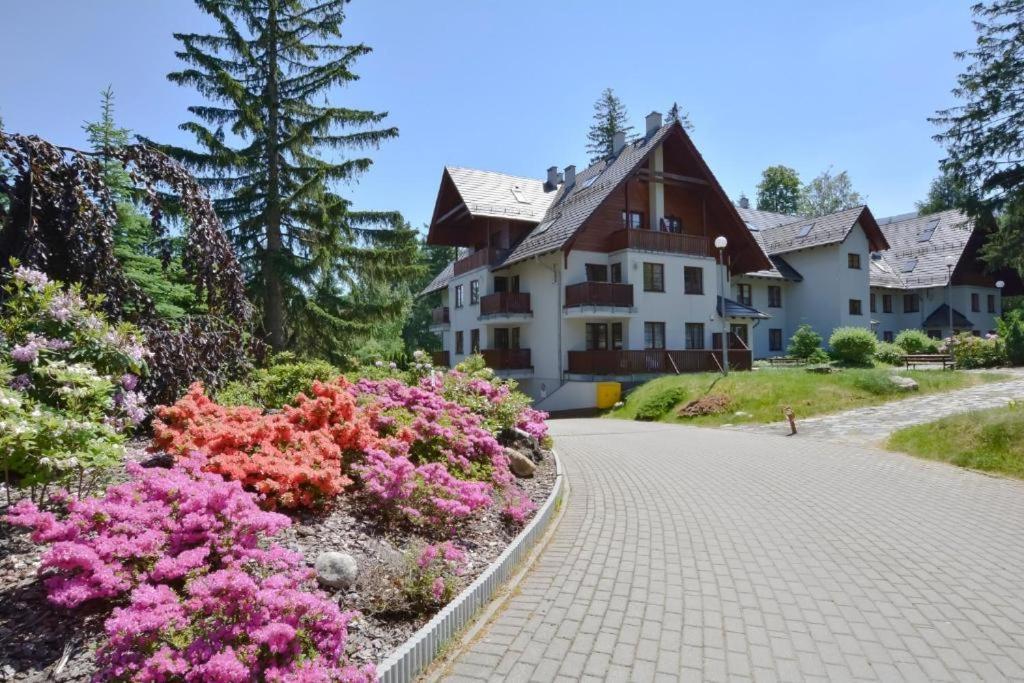Polana-karpacz Apartment